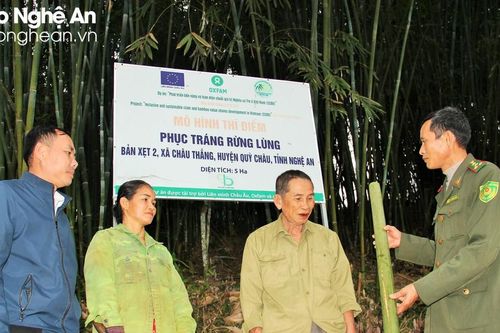 Đẩy mạnh xúc tiến, vận động viện trợ phi chính phủ nước ngoài