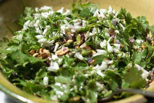 Loại rau gia vị tưởng chỉ tạo mùi thơm không ngờ giúp thải độc cực tốt