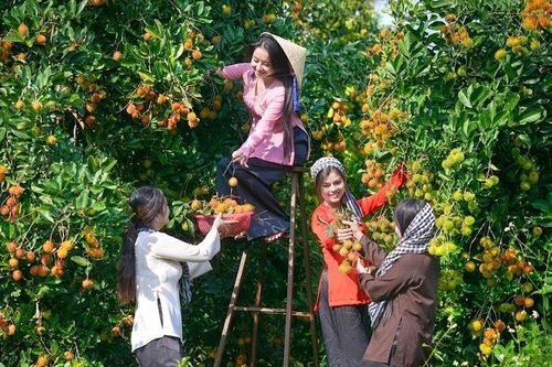 Tổng doanh thu du lịch Cần Thơ 3 tháng đầu năm đạt hơn 1.471 tỷ đồng