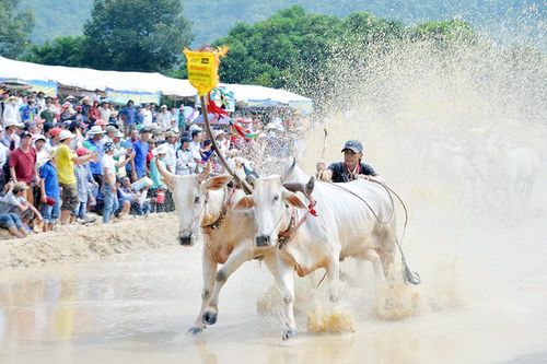 Đa dạng sân chơi thể thao trong đồng bào dân tộc Khmer