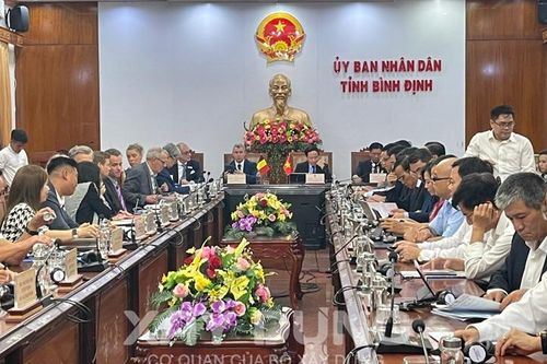 Bình Định kêu gọi đầu tư các dự án then chốt vào 5 trụ cột chính
