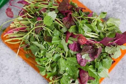 Rau dền cực tốt, cực độc: Điều cần lưu ý để tránh rước họa vào thân