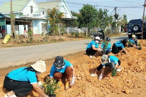 Lâm Đồng: Phụ nữ Lạc Dương ra quân lan tỏa mô hình dân vận khéo, tuyến đường hoa