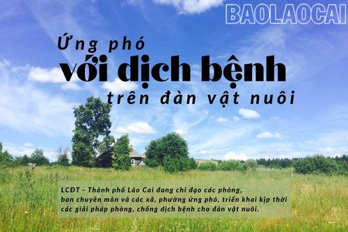 Ứng phó với dịch bệnh trên đàn vật nuôi