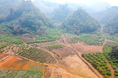Giá đất Mộc Châu tăng nhanh, 'neo' cao, có nên đầu tư đón 'sóng' cao tốc?