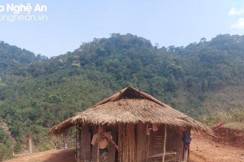 Cuộc vật lộn với 'cái chết trắng' ở bản vùng biên Kẻo Nam