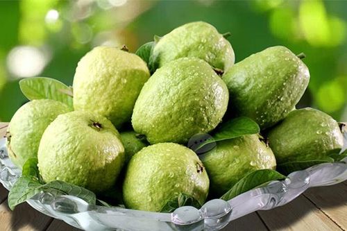 Tại sao ăn ổi giúp tăng cường sức khỏe hệ miễn dịch?