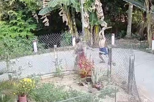 Người đàn ông đánh phụ nữ hàng xóm tử vong