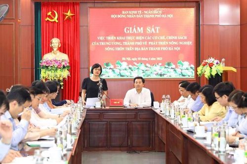 Thay đổi hiệu quả sản xuất nông nghiệp từ quy hoạch, xác định vùng tập trung