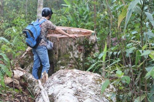 Rèn luyện kỹ năng, bảo vệ hoạt động tác nghiệp hợp pháp - Vấn đề quan trọng đối với mỗi nhà báo