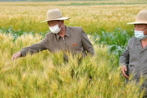 Triều Tiên sẽ tăng nhập lương thực từ Trung Quốc?