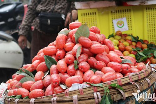Ở vườn ngoại thành giá rẻ như rau, vào nội thành nhót chín là hàng đắt đỏ