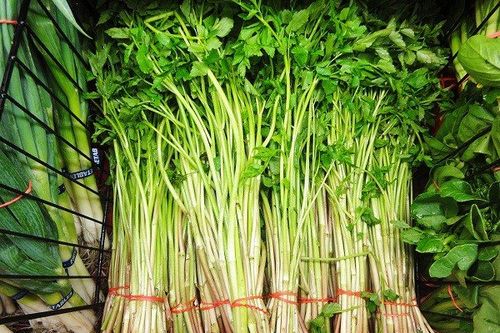 Vì sao không nên ăn rau cần nhúng tái?
