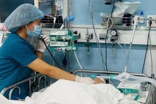 Vụ cây xanh bật gốc trước cổng trường ở TPHCM: Sức khỏe thai phụ và các nạn nhân khác hiện ra sao?