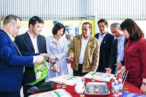 Hợp tác xã khó tiếp cận vốn ngân hàng