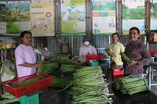 Bà con dân tộc Chăm biến vùng đất cát thành thủ phủ 'rau vua'