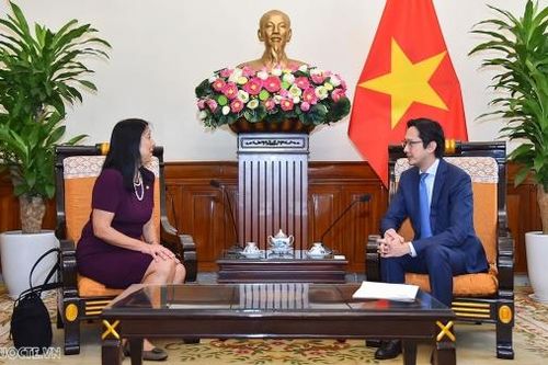 Việt Nam-Hoa Kỳ: Tăng cường hợp tác tại các diễn đàn đa phương