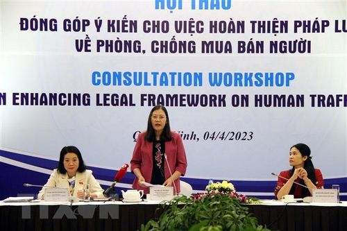 Góp ý hoàn thiện pháp luật về phòng, chống mua bán người