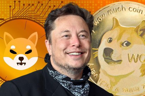 Dogecoin tăng vọt sau khi Elon Musk thay thế chú chim Twitter bằng chó Shiba Inu