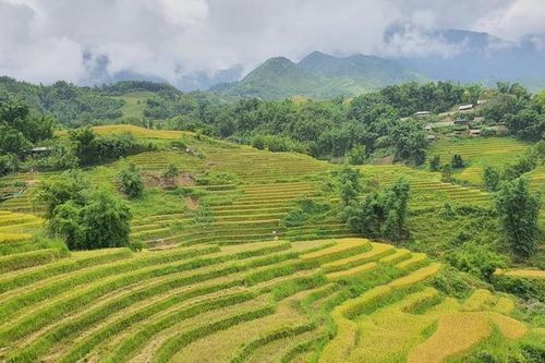 Lào Cai: Phát triển khu du lịch quốc gia Sa Pa đạt tầm cỡ quốc tế