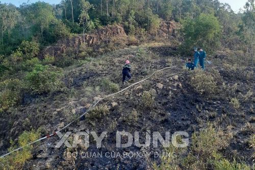 Bình Định: Cháy rừng trên núi Bà Hỏa