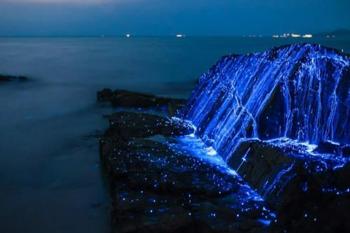 5 bãi biển rực sáng về đêm