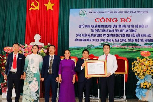 Tri thức trồng và chế biến chè Tân Cương là Di sản văn hóa phi vật thể quốc gia
