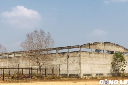Kon Tum: Cận cảnh nhà máy bột giấy nghìn tỷ sau 15 năm xây dựng vẫn 'án binh bất động'