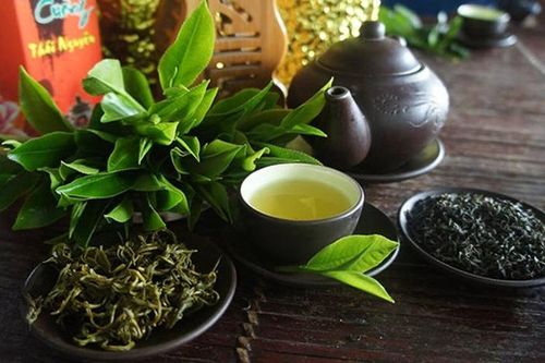 Công nhận Tri thức trồng, chế biến chè Tân Cương là Di sản quốc gia