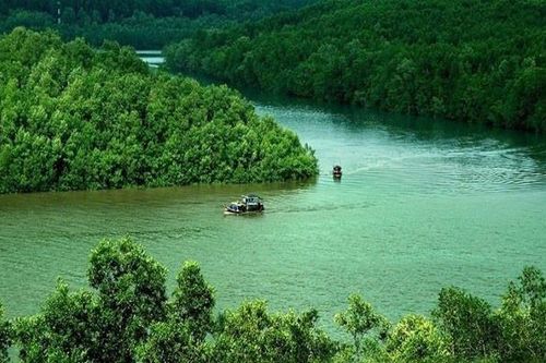 Tỉnh nào có rừng ngập mặn lớn nhất Việt Nam?