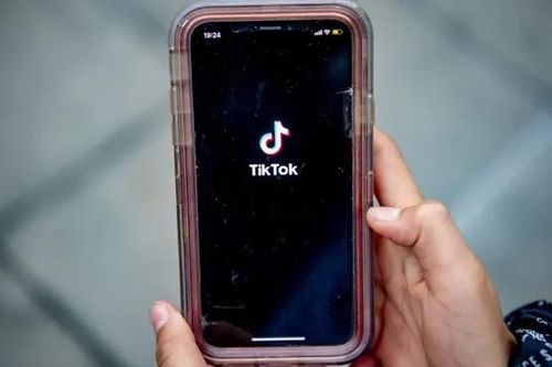 Thuật toán TikTok khai thác điểm yếu của trẻ em như thế nào?