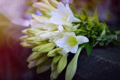 Lời nhắn nhủ tháng Tư