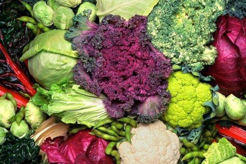 Các loại rau họ cải tốt cho hệ miễn dịch và trị cảm cúm