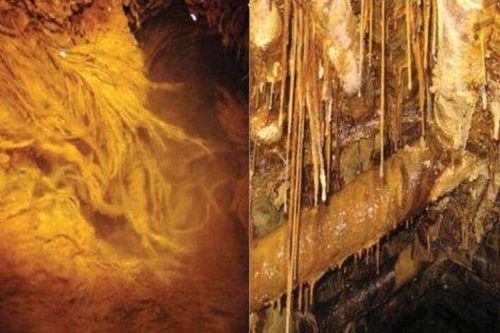 Tìm thấy các dạng sống 'ngoài hành tinh' trong một mỏ Uranium bị bỏ hoang ở Đức