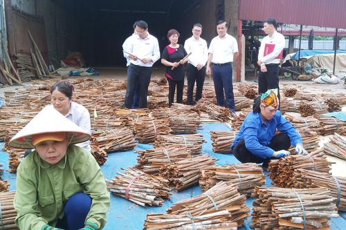 Làm gì để giúp doanh nghiệp tư nhân thoát cảnh kinh doanh 'chộp giật'?