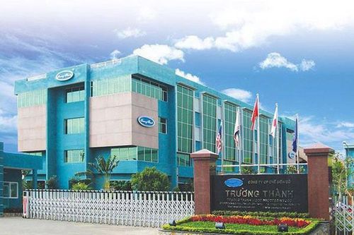 Gỗ Trường Thành (TTF) lợi nhuận 3 năm liền èo uột, vừa chuyển lãi thành lỗ sau kiểm toán