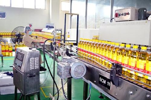 Tiền mặt giảm kỷ lục trong 4 năm, dòng tiền âm 591 tỷ, Vocarimex (VOC) lấy đâu 1.000 tỷ cổ tức trả cho KIDO?