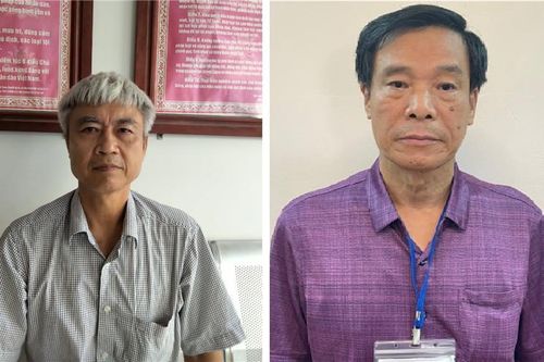 Cựu Tổng giám đốc Cienco-1 gây thiệt hại cho Nhà nước hơn 239 tỷ đồng