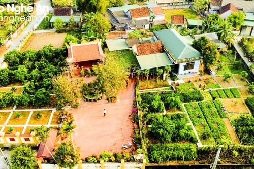 Chiêm ngưỡng vườn chuẩn nông thôn mới đẹp nhất Nghệ An