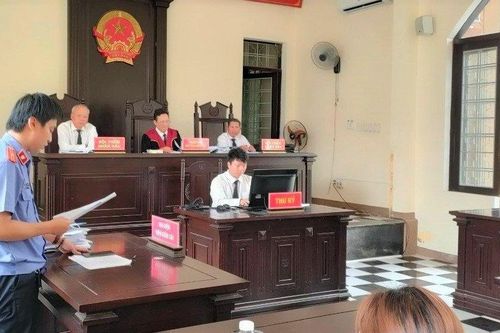 Hoãn lần 5 phiên tòa liên quan 77 khách hàng tại dự án Tam Anh Nam