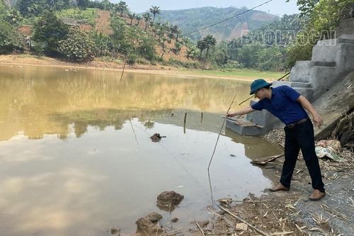 Bảo Yên: Hồ thủy lợi cạn khô, hơn 50 ha lúa nguy cơ mất mùa
