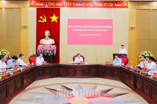 Ban Chấp hành Đảng bộ tỉnh tổ chức hội nghị lần thứ 13