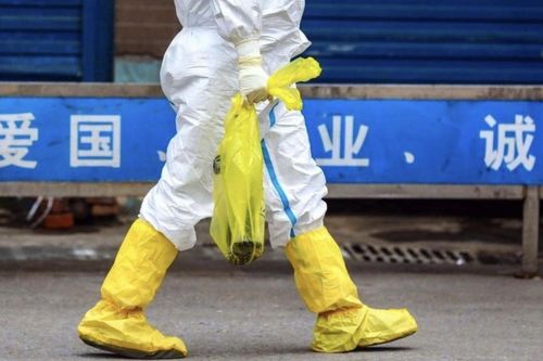 Trung Quốc công bố dữ liệu được mong chờ về nguồn gốc Covid-19