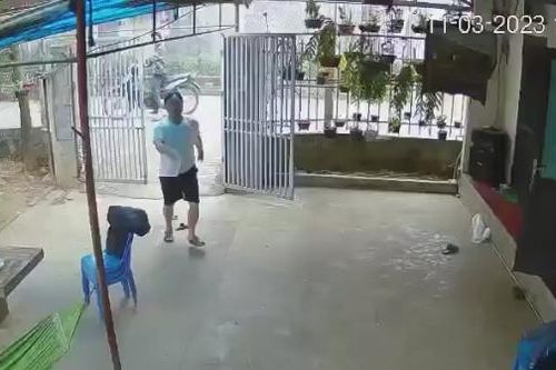 Giám định thương tích bé trai bạch tạng bị ông nội của bạn đánh