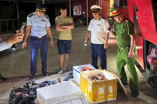 Xử phạt tài xế vận chuyển sản phẩm động vật không rõ nguồn gốc bốc mùi