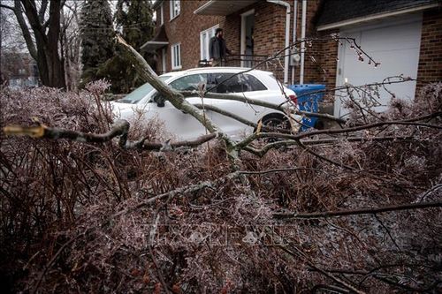 Canada: Bão tuyết khiến 2 người thiệt mạng, hàng triệu người bị mất điện