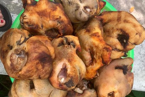 Kỳ lạ bộ phận nhạy cảm của trâu được bán gần 400.000 đồng/kg vẫn 'cháy' hàng