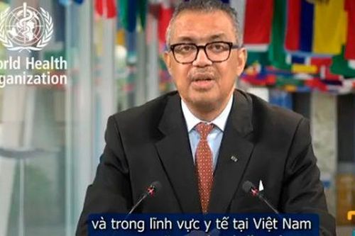 Tổng Giám đốc WHO khen ngợi những thành tựu y tế công của Việt Nam nhân Ngày Sức khỏe Thế giới