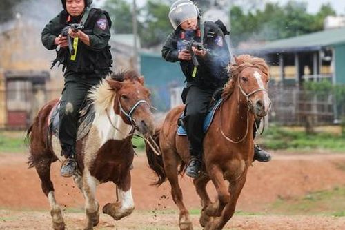 Chiêm ngưỡng tuyệt kỹ của chiến sĩ Trung đoàn Cảnh sát Cơ động Kỵ binh Công an nhân dân