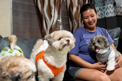 Thú cưng đã mất có thể 'sống lại' nhờ ý tưởng sáng tạo độc đáo